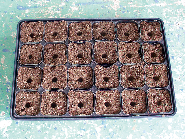 potted soil with holes drilled in it