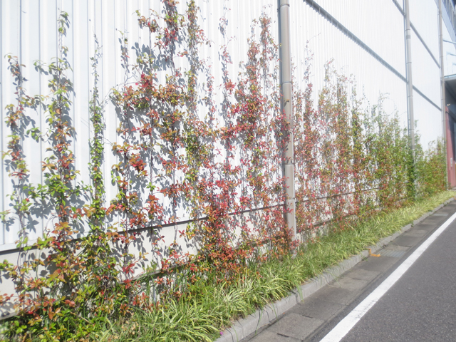 Wire type climbing slope greening