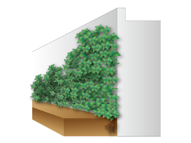Wall greening method