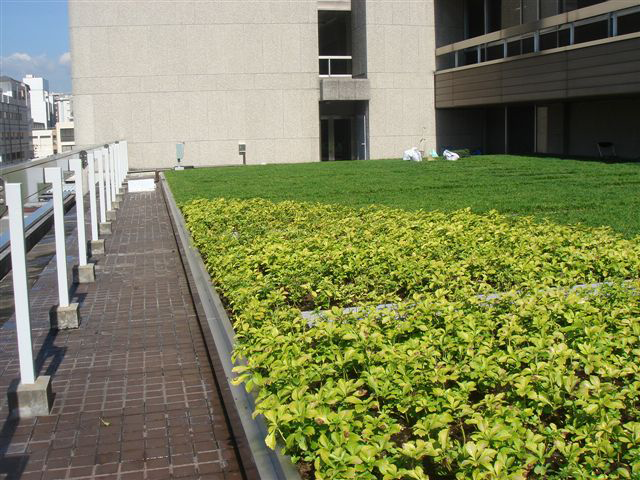 Example of rooftop greening using Excel soil1