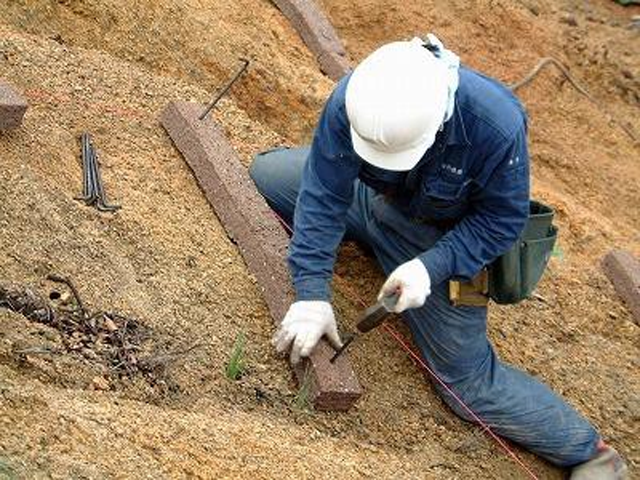 Greening of mine sites