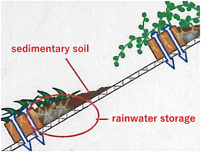 ②Expansion of planting in the sedimentary area