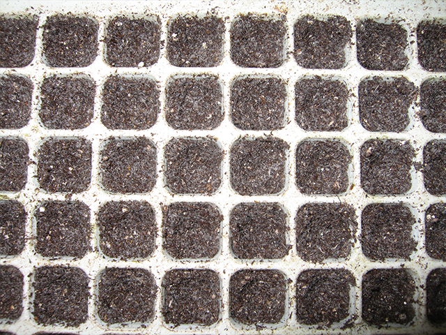 Excel Soil Seedling type
