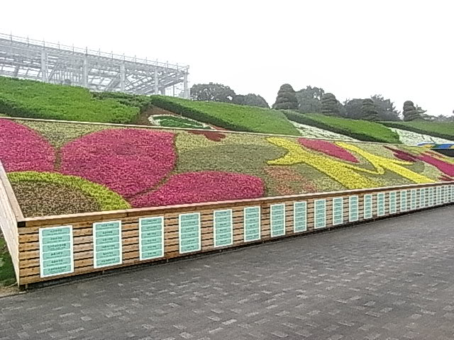 浜松市小中