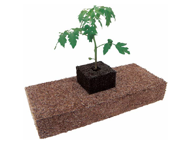 スラブに定植したエクセルソイル キューブ